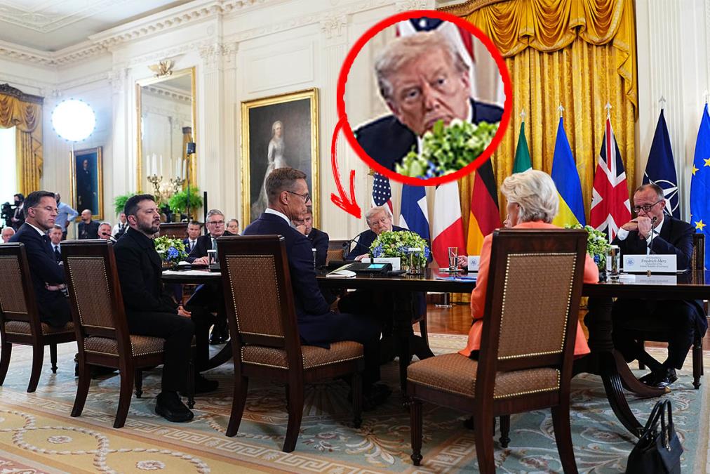 tramp.jpg?ts=2025-08-19T14:07:29