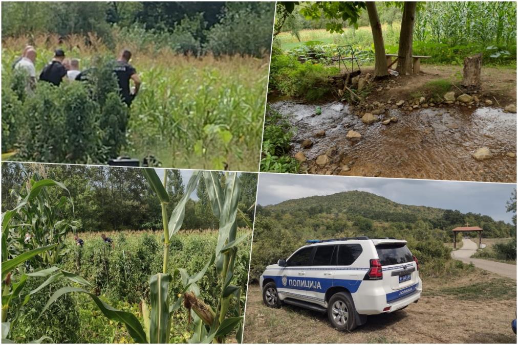 LJUBISAV (81) PROGOVORIO PRED PRESUDU ZA JEZIVO UBISTVO! Pucao u komšiju, premestio telo, pa se pravdao! Evo kolika mu kazna preti!