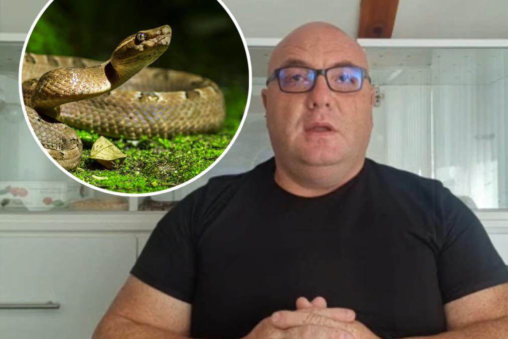 POZNATI ZMIJOLOVAC STANKOVIĆ UPOZORAVA! U Srbiji vlada OPASNA ZVER, ujed izgleda specifično, a jedna ključna stvar može da vam SPASE život! (VIDEO)