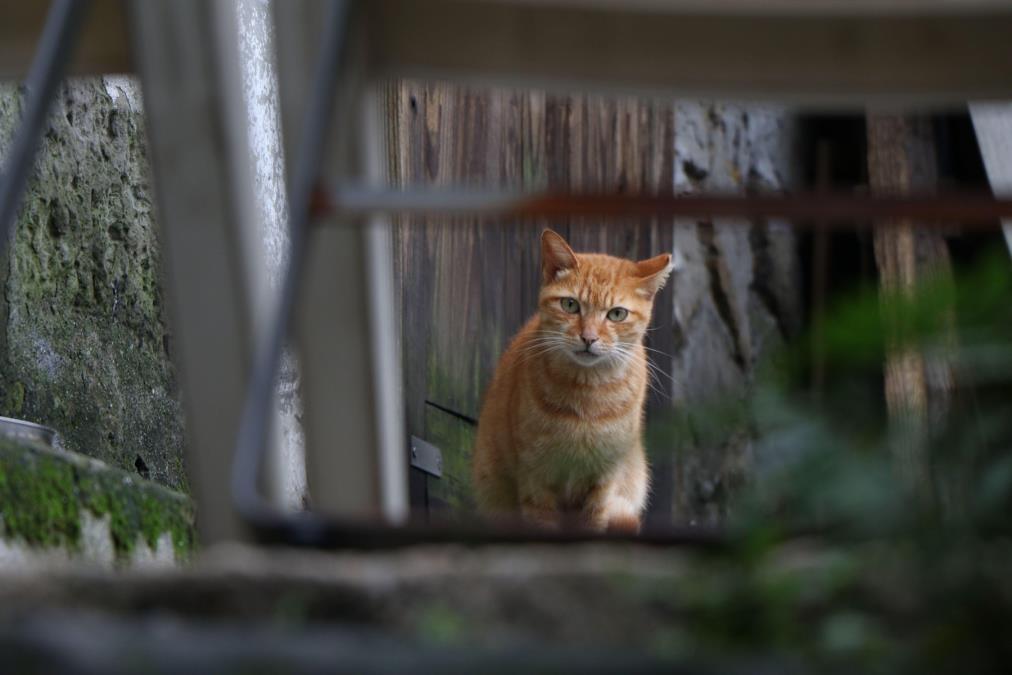 profimedia-1023572416.jpg?ts=2025-10-02T10:54:26