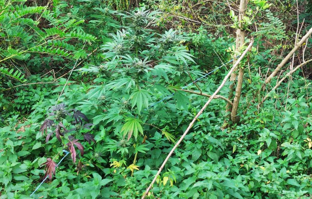 1-16-.jpg?ts=2025-10-14T14:07:58