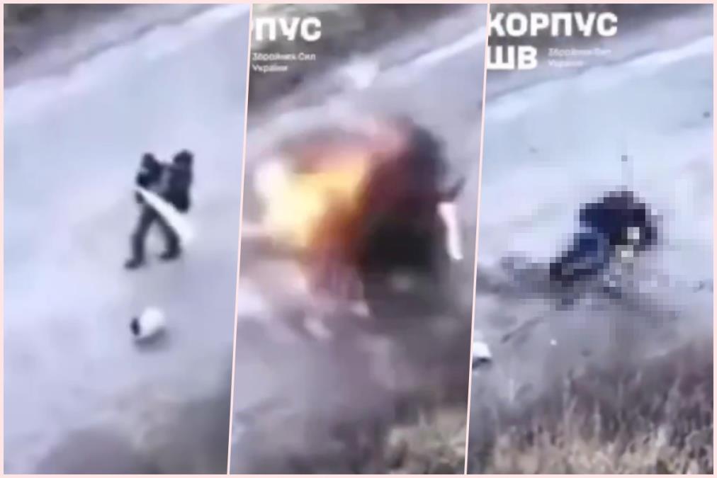 collage.jpg?ts=2025-11-05T13:02:21