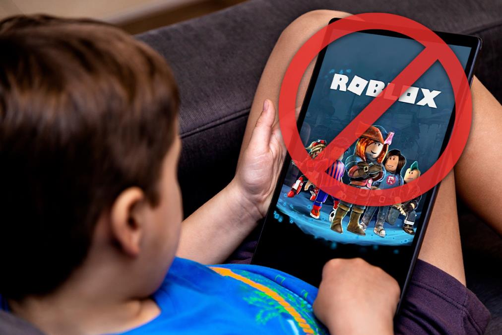 Roblex-2.jpg?ts=2025-11-09T11:56:32