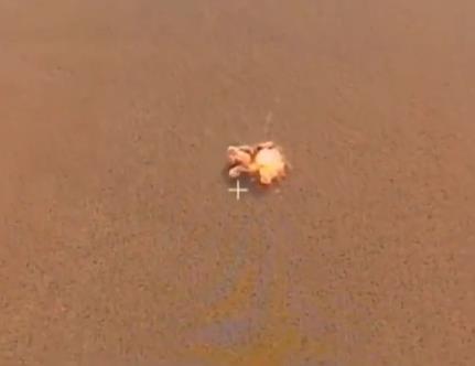 Screenshot-2025-11-10-193426.jpg?ts=2025-11-10T19:34:41