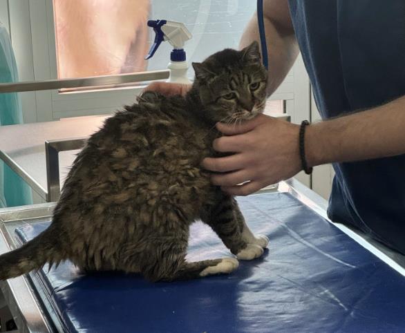 8788778.jpg?ts=2025-11-14T17:53:28