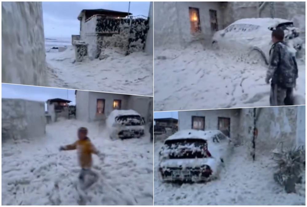 Dablin.jpg?ts=2025-11-15T14:14:44