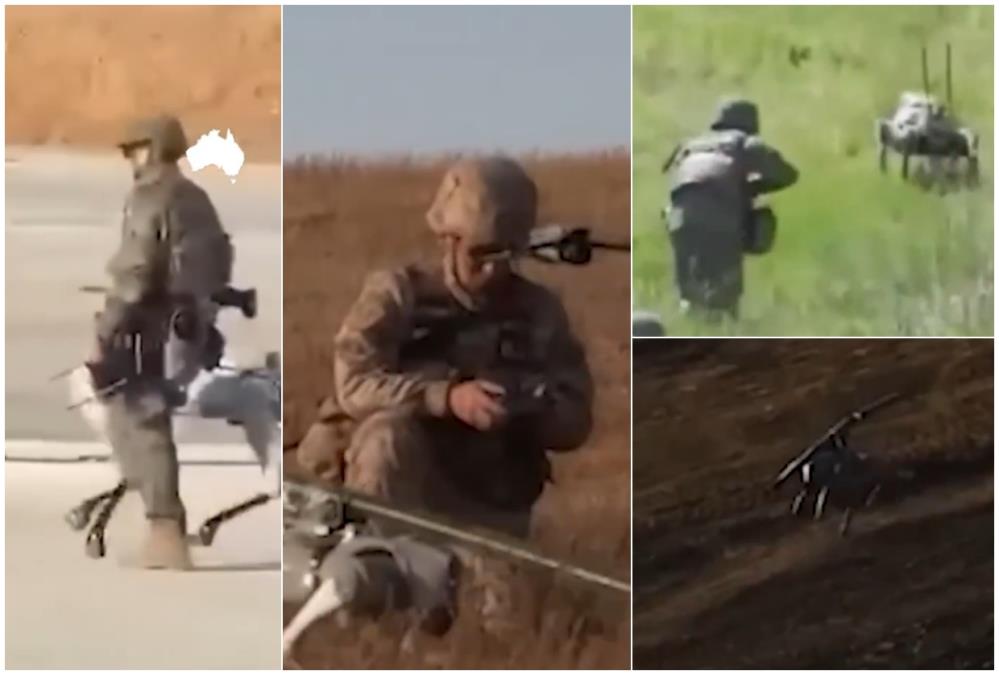 collage.jpg?ts=2025-11-16T08:05:24