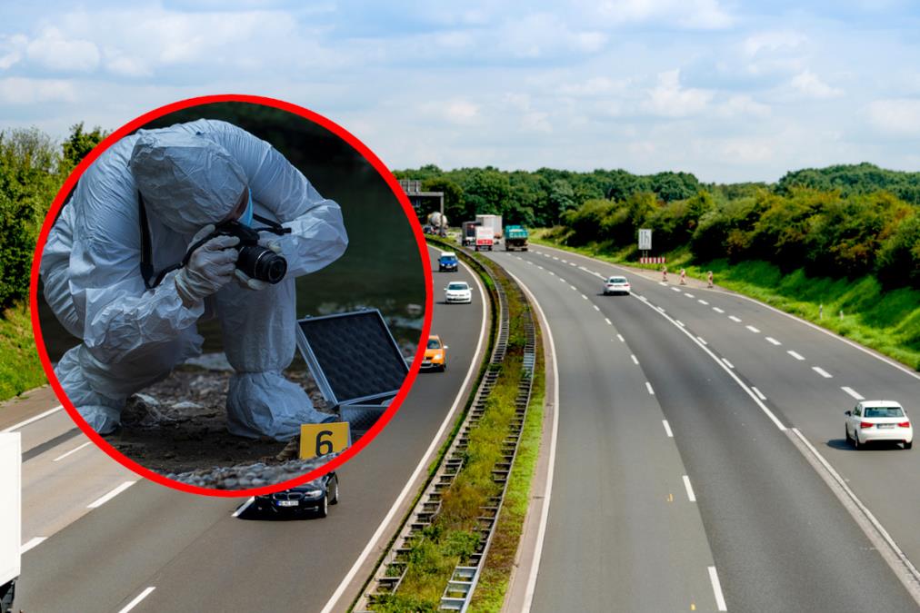 auto-put-nemacka-forenzika.jpg?ts=2025-11-17T10:08:23