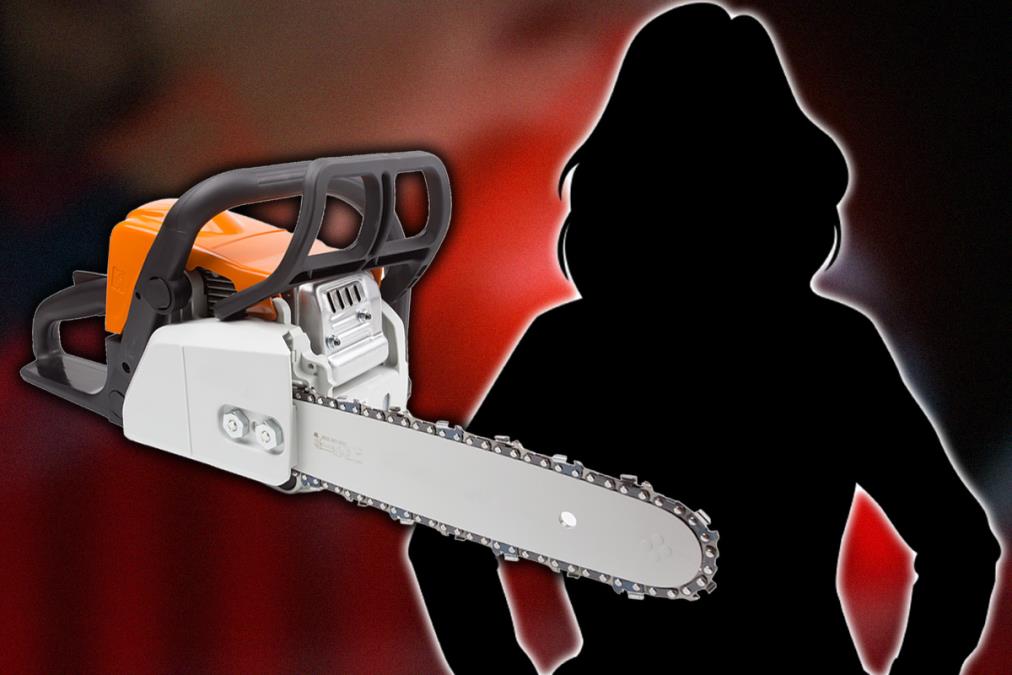 motorna-testera.jpg?ts=2025-11-17T16:06:30