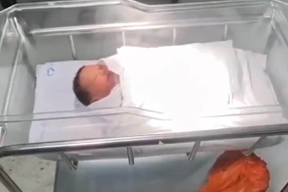 beba.jpg?ts=2025-11-18T18:08:16