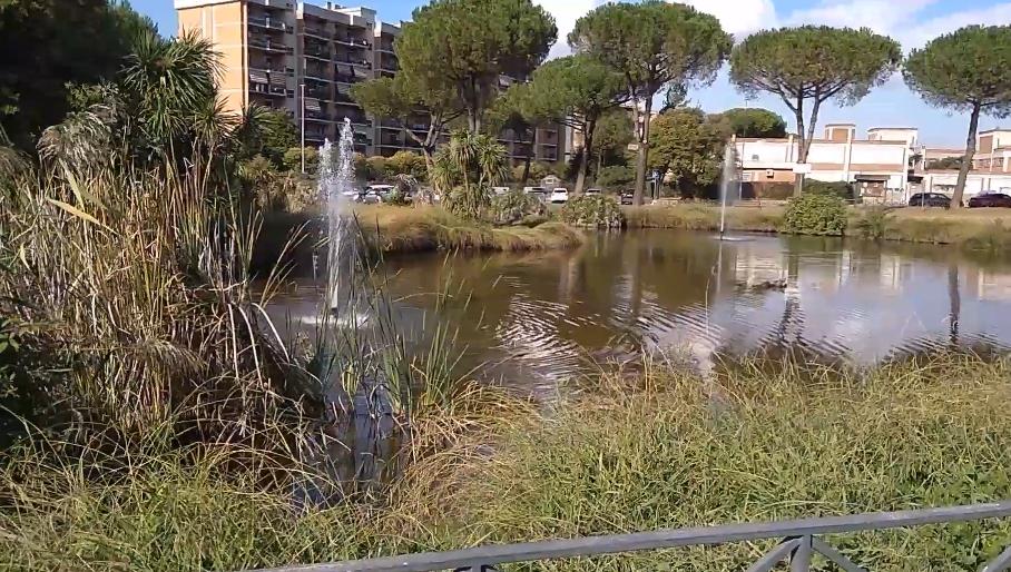 Screenshot-2025-11-25-140424.jpg?ts=2025-11-25T14:05:02