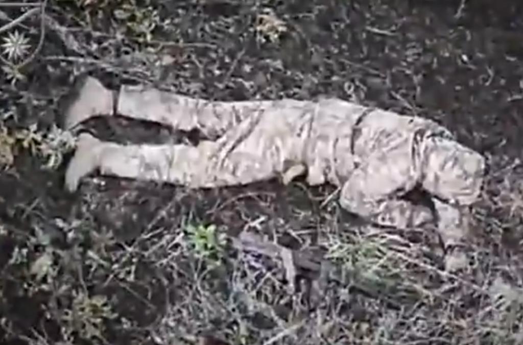 Screenshot-2025-11-30-135429.jpg?ts=2025-11-30T13:55:05