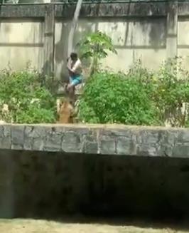 Screenshot-2025-12-01-140209.jpg?ts=2025-12-01T14:02:59