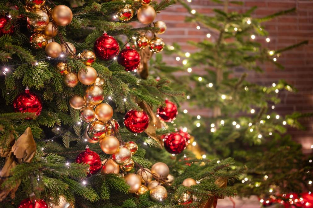 Lampe na jelkama mogu napraviti katastrofu u kući! Električar Zrnić otkrio najčešće greške u domu koje većina pravi, a jedna stvar je najopasnija