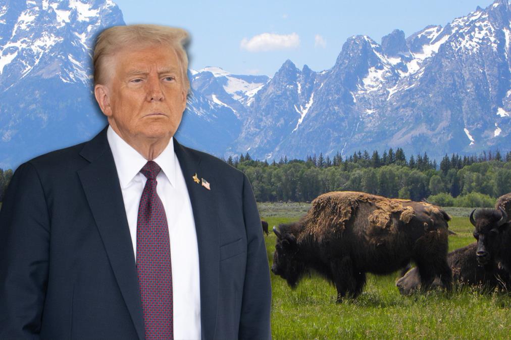 Donald-Tramp.jpg?ts=2025-12-08T11:11:39