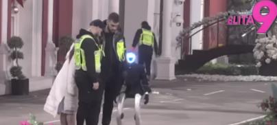 MILJANA NAPALA ROBOTA TOŠU, RAZDVAJA IH OBEZBEĐENJE! Neverovatna scena u Eliti, Kulićka van sebe vrištala na sav glas: Poslali su te...
