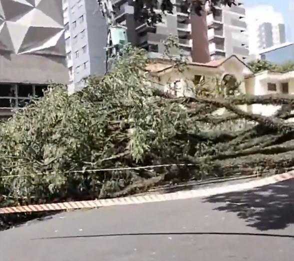 oluja-nevreme.jpg?ts=2025-12-11T23:56:25