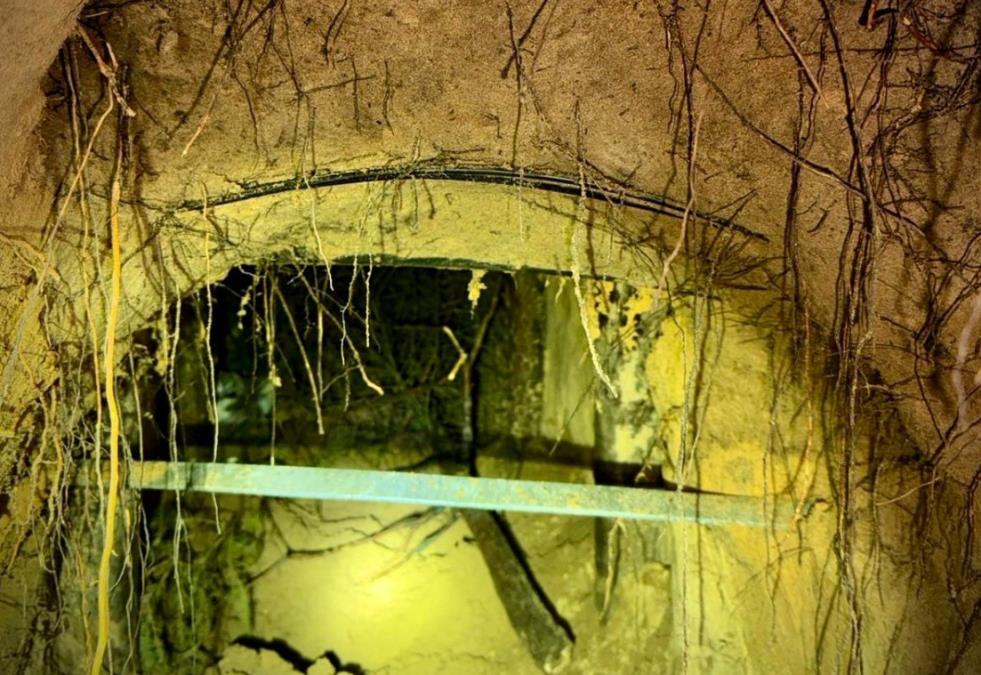 tunel.jpg?ts=2025-12-13T17:21:06