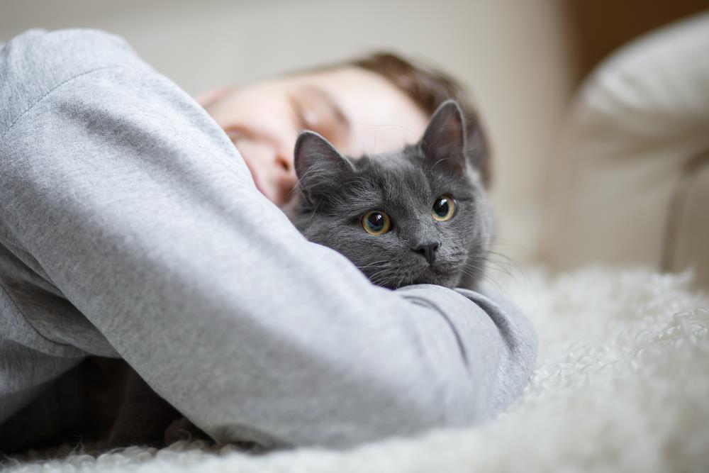 Evo kako mačke biraju najdražu osobu: Veterinari otkrili tajnu, mnogo su opreznije nego psi