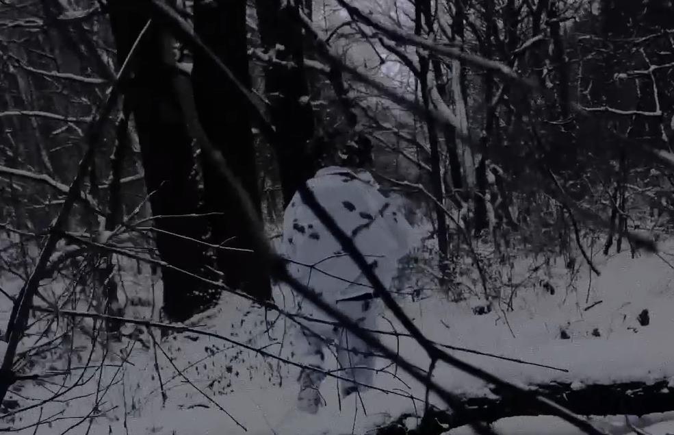 Screenshot-2026-02-02-200403.jpg?ts=2026-02-02T20:05:08