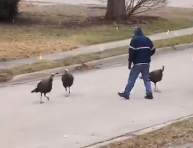 Screenshot-2026-02-07-095004.jpg?ts=2026-02-07T09:51:19