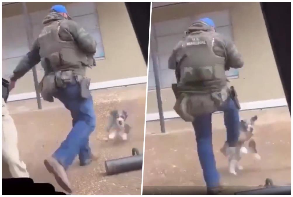 sutiranje-psa.jpg?ts=2026-02-07T12:02:08