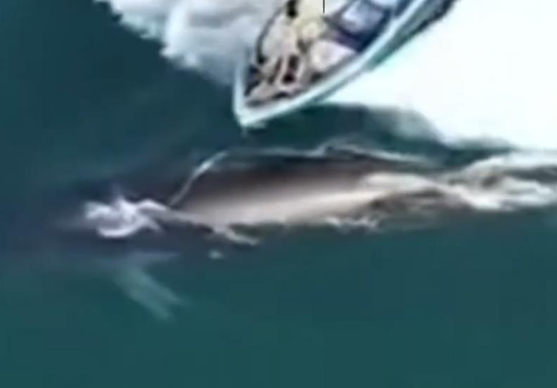 camac-i-kit.jpg?ts=2026-02-12T16:44:12