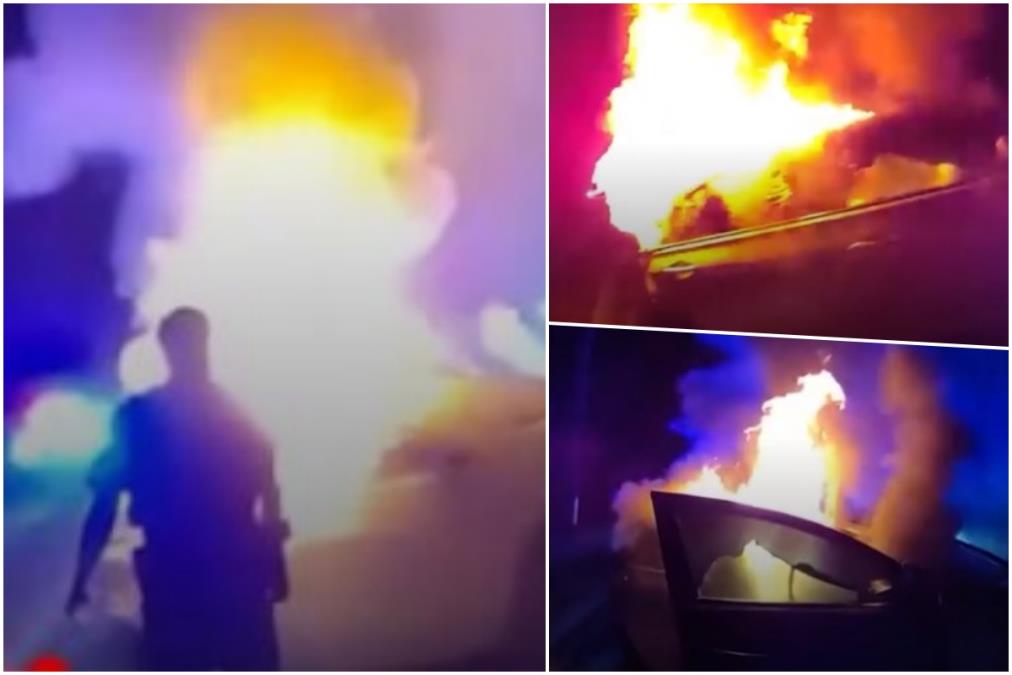 Florida.jpg?ts=2026-02-13T16:47:25