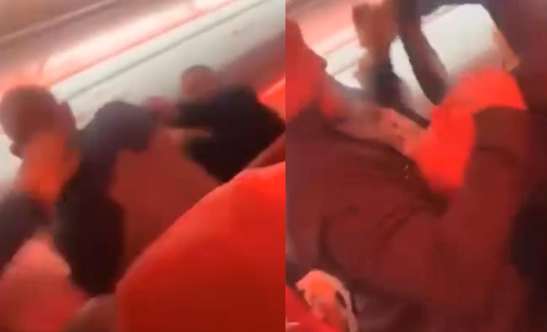 download-1-.jpg?ts=2026-02-14T17:32:09