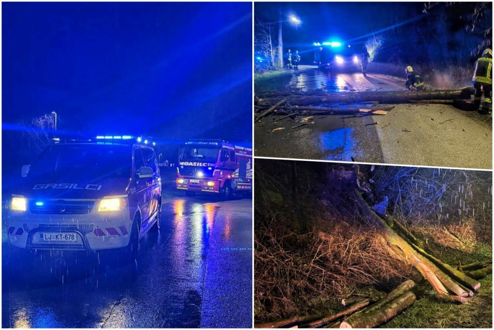 collage.jpg?ts=2026-02-15T21:58:07