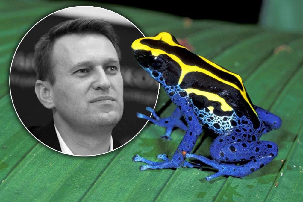 zaba.jpg?ts=2026-02-16T11:25:31