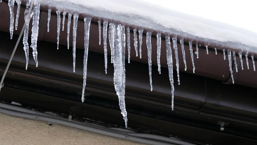 shutterstock_2724370817.jpg?ts=2026-02-16T14:53:21