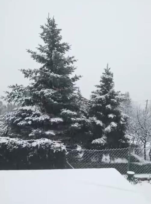PAO SNEG NA ŠAR-PLANINI! Temperatura u jednom danu pala za čak 14 stepeni, zabeleo se i vrh Pelistera