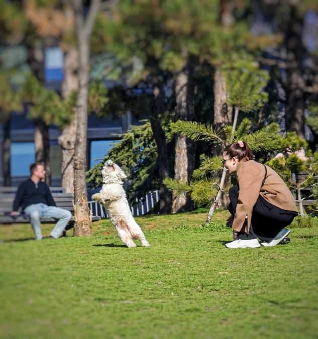 VASKRŠNJE JUTRO HLADNO, A ONDA OBRT! Ali od utorka sve se menja, čeka nas ovaj vremenski preokret