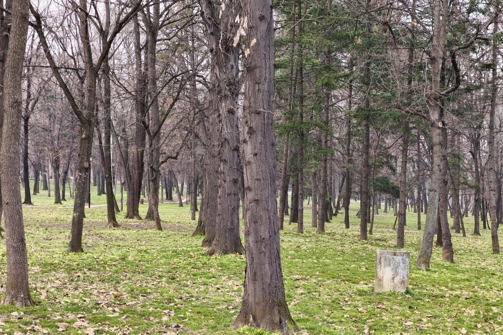 TELO OTETOG BIZNISMENA IZ BiH PRONAĐENO KOD BERLINA! Bio je zakopan u šumi, a otkriveno i kako je preminuo