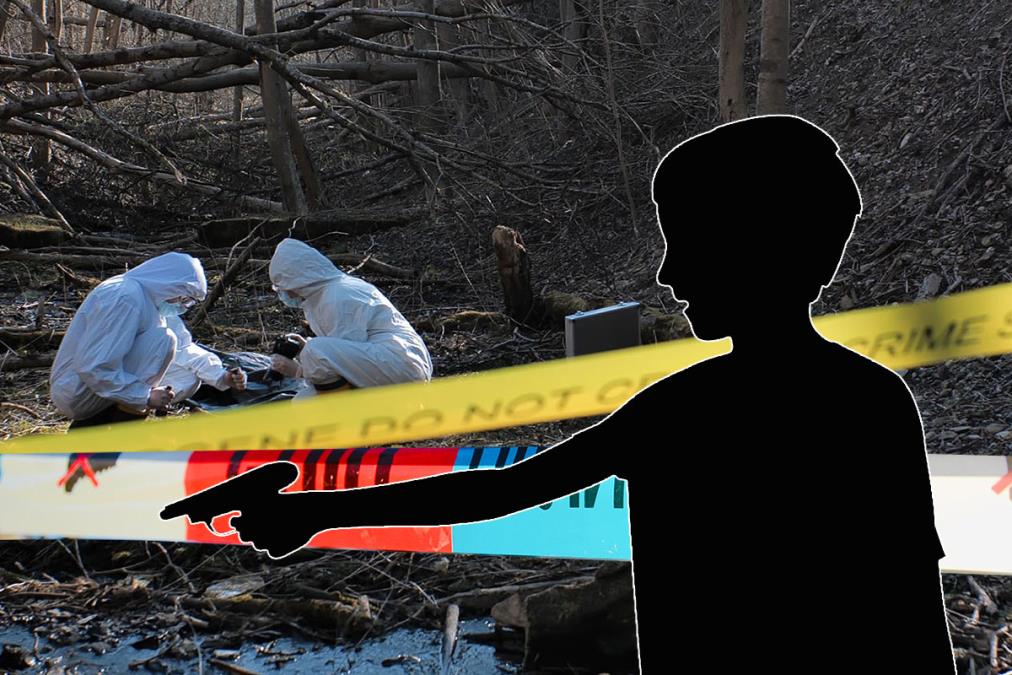 Maloletnik dobio 25.000 evra da ubije čoveka: "Bilo mi je teško da odbijem, bio sam dužan 24.000 evra" 