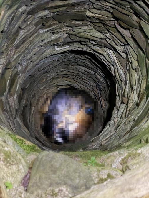 Horor kod Aleksinca! Dečak (14) tražio komšijskog psa, pa u bunaru zatekao jeziv prizor: Nađeno 7 leševa, celo selo u strahu - vodu ne smeju da piju!