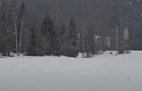 SNEG VEJE U OVOM DELU SRBIJE NA PRVI DAN PROLEĆA! Prizori kao iz bajke, visina pokrivača oko 40 centimetara! Evo gde se očekuje narednih dana (VIDEO)