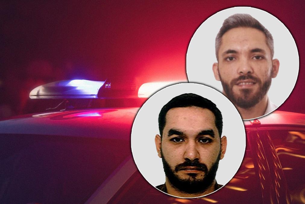 BRAĆA DRAGUTINOVIĆ IZVELA SPEKTAKULARNU PREVARU, CELA EVROPA IH TRAŽI: Namamili bračni par u zamku, pa uzeli 15 zlatnih poluga - NESTALI PRILIKOM IZRUČENJA