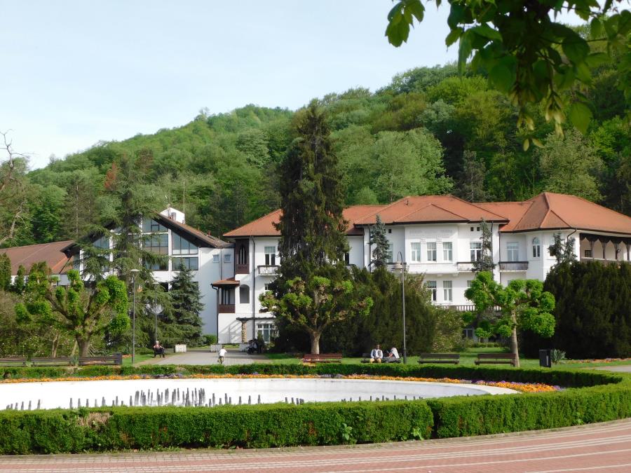 OD TURIZMA I KULTURE DO SPORTA I PRIVREDE Loznica želi saradnju sa gradom Karlove Vari u Češkoj (FOTO)