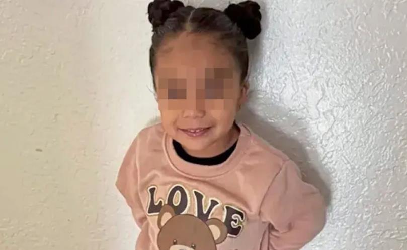 DEVOJČICA (4) PROGUTALA OVAJ OPASAN PREDMET I ZAVRŠILA U KOMI: Progoreo joj rupu tik pored pluća, uništio jednjak! Lekari joj se bore za život (foto)