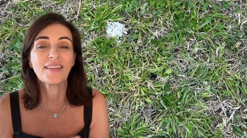 Kao klinci smo stalno na ulici viđali beli pseći izmet, a sada ga više nema: Veterinarka objašnjava zašto je to tako (VIDEO)