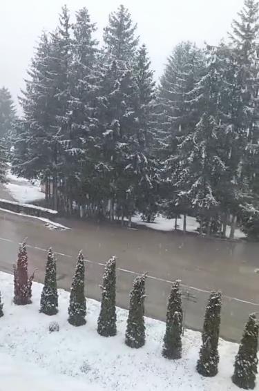 Zabelela se Srbija, sneg veje u ovim gradovima! Od proleća ne ostade ništa: Pogledajte snimke snežnog nevremena! (FOTO, VIDEO)