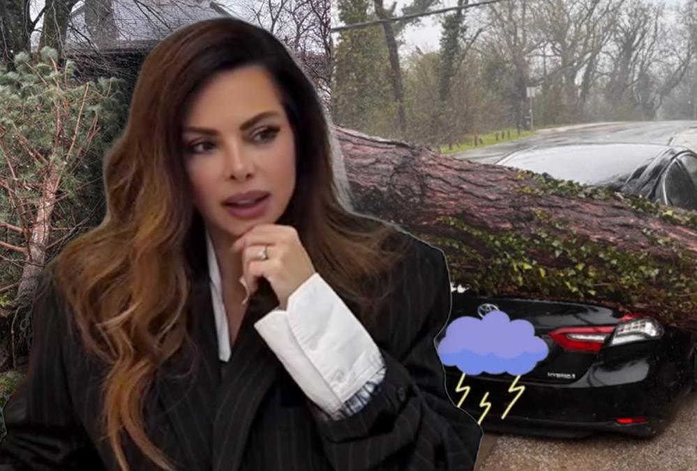 DEMOLIRANO DVORIŠTE NIKOLINE PIŠEK: Uništen automobil, polomljeno drveće... (VIDEO)