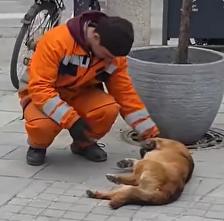 O radniku gradske čistoće iz Novog Pazara priča cela Srbija: 
