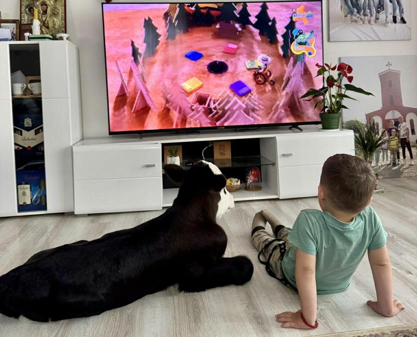 TELENCE SA DECOM GLEDA CRTAĆE! Nestvarno lepa slika iz doma Tamare Garović: Slabašno i smrznuto iz štale ga uneli u kuću, sada je im je ljubimac i maza (FOTO)