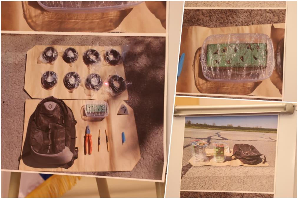 "MIGRANTI KOJI SU IMALI EKPLOZIV SU BILI VOJNO SPOSOBNI" Pokušaj sabotaže kod Kanjiže, meta energetska bezbednost Srbije i regiona