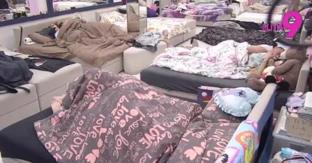 PRVA VRELA AKCIJA ASMINA I MAJE! Pred punom sobom se prepustili strastima, nisu marili za upaljena svetla i Staniju (FOTO)