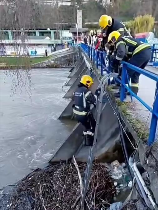 KAPA DOLE, NJIMA SU UŽIČANI APLAUDIRALI POSLE DRAME NA ĐETINJI: Na plutajućoj gomili granja, nekako se našlo štene, a onda su stigli hrabri vatrogasci! (FOTO)