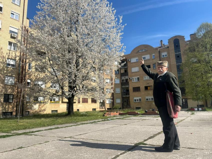 "JOŠ 3 DA PORASTE PA ĆE PREĆI ZGRADU" Mirko iz Čačka posadio trešnju pre 33 godine, otad je prati koliko je narasla, sad ima 24 metra! (FOTO)  
